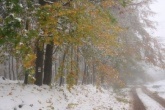 14.10.2009-prvý sneh