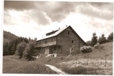 1955