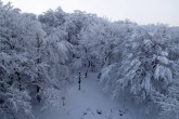 Pohľad z rozhľadne