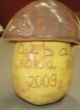 Dubák roka